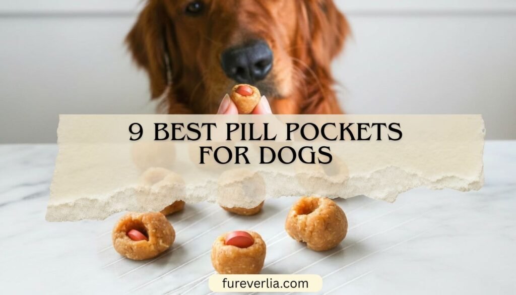 9 Best Pill Pockets for Dogs