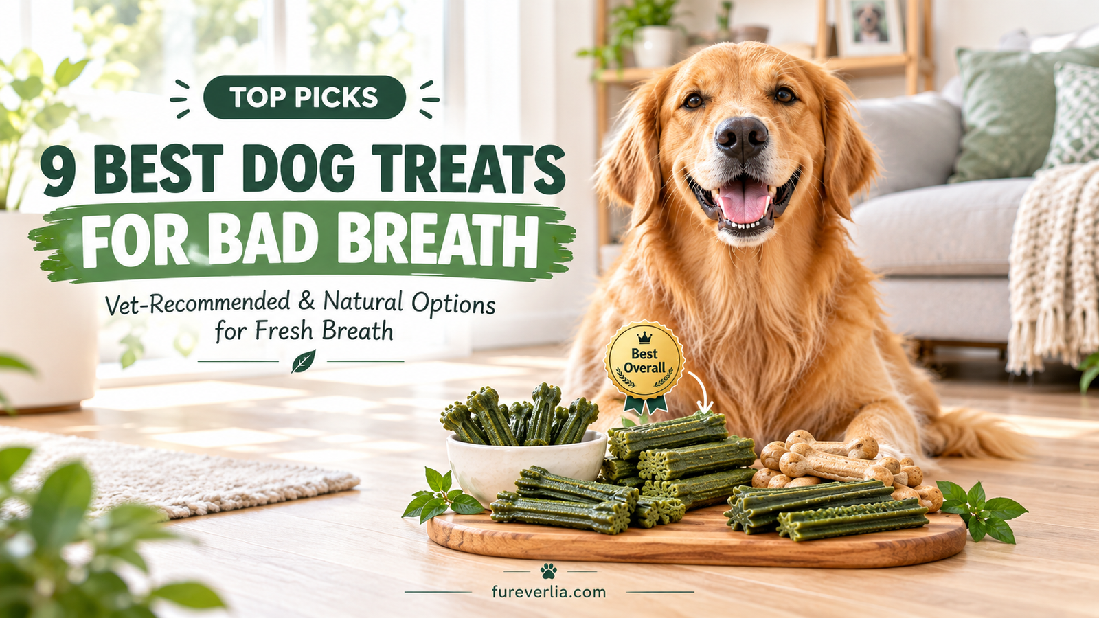 9 Best Dog Treats for Bad Breath in 2026 